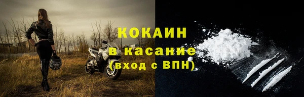 PSILOCYBIN Магас
