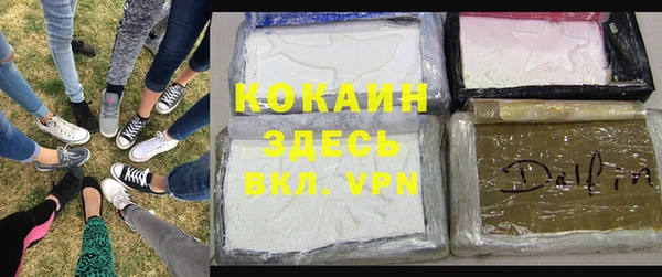 PSILOCYBIN Магас
